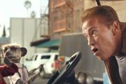 Arnold Schwarzenegger: teams up with the meerkats