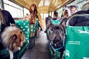 Event TV: More Than's tour for dogs
