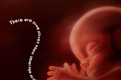 Charity launches campaign targeting pregnant drinkers