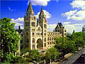 Natural History Museum: revamping retail store