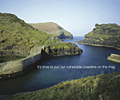 National Trust: WPN mailing