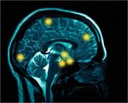 The science behind brand growth