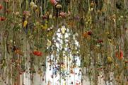1,200 blooms have been suspended at St Christopher's Place this week.  