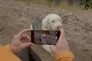 OnePlus partners Google to create photographic gallery