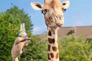 Orangina: Fred & Farid Paris has created offbeat ads featuring anthropomorphised animals