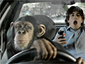 Pepsi: using chimp as driver in 'taxi'