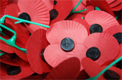 Poppy appeal: entering new spaces