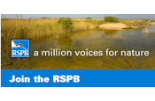 RSPB: online campaign with Equi=Media