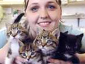 RSPCA: portraying its staff as heroes