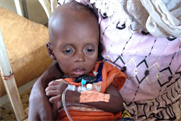 UNHCR: website revamp