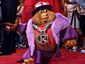 Rocky R: new site for biscuit brand