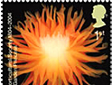 Royal Horticultural Society: Royal Mail stamp campaign