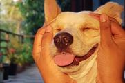 Samsung follows onion film with a grinning dog