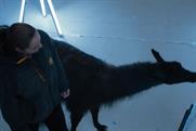 The buzz: Samsung uses llama for phone launch