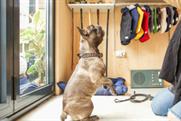 Fetch & Follow brings Christmas cheer to dogs and their owners