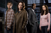 'The Sarah Connor Chronicles': hit for Fox