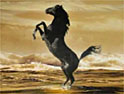 Shell ad: Ferrari imagery