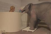 Turkey of the week: Soak.com's elephant ad is a dud