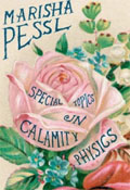 'Special Topics in Calamity Physics: Viking title