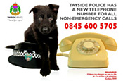 Tayside Police: apologise for ad