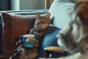 Tetley kicks off advertising review