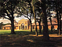 The Grove: Partners to handle marketing