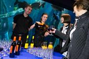 The Deep aquarium offers marine life surroundings 