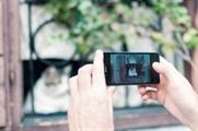 Cat videos: Felix launches Catdaq YouTube channel