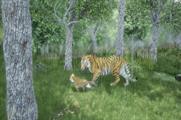 WWF launches virtual reality experience on plight of wild tigers