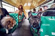Behind the scenes: More Than's bus tour for dogs