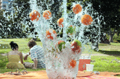 Tropicana...launches new Spirit soft drink