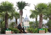 In pictures: Vita Coco's palm tree forest