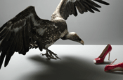 Vulture...new DDB campaign for Harvey Nicks