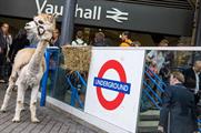 Ben the alpaca from Vauxhall City Farm