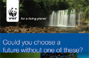 WWF: attracting legacy supporters