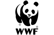 WWF: searching for agencies