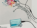 Walkman: Sony taking on the iPod