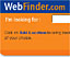 Webfinder: new search engine