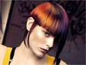 Wella: backing Trend Vision with Telegraph deal