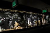 Whole Foods Market: first european store opened in Kensington