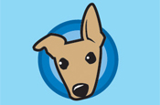 Wippit: ceased trading