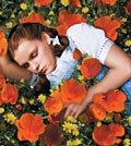 'The Wizard of Oz': showing on TCM2