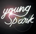 Young Spark: award applies to entire UK