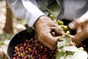 Fairtrade Fortnight: raising the issue of food poverty