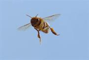 Watch a bee's wings flap in Thatchers' slow-motion summertime campaign