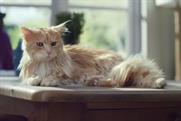 O2: "be more dog" takes first place after slow start