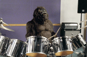 Gorilla ad...won award