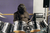 Gorilla...best TV commercial of the year