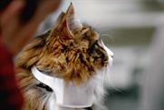 Mars Temptations' 'talking cat collar' 