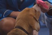 KLM: beagle spot tops the Viral Chart
